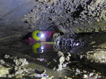 Agenor Cave exploration Brazil. Photo Daniel Menin